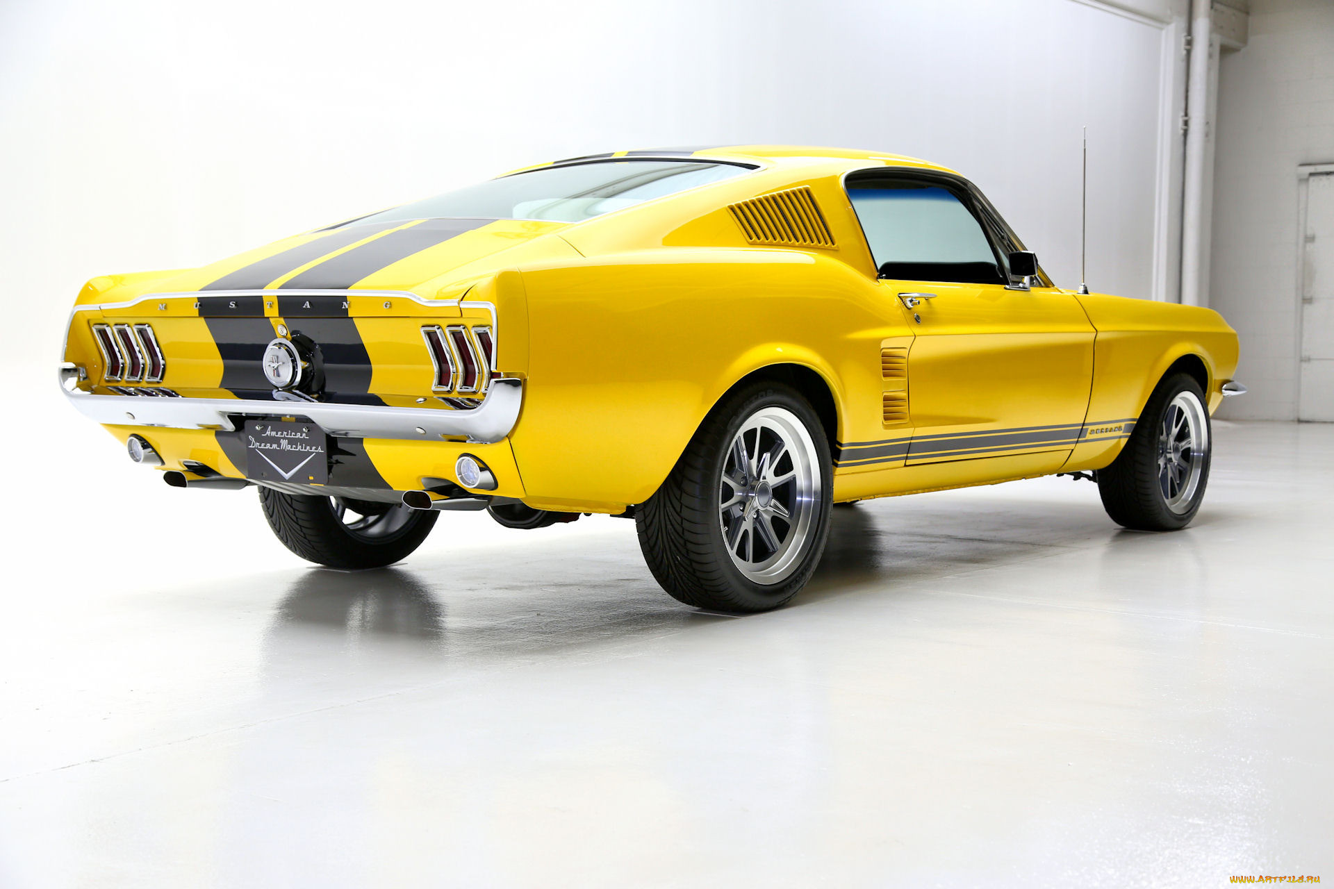 , mustang
